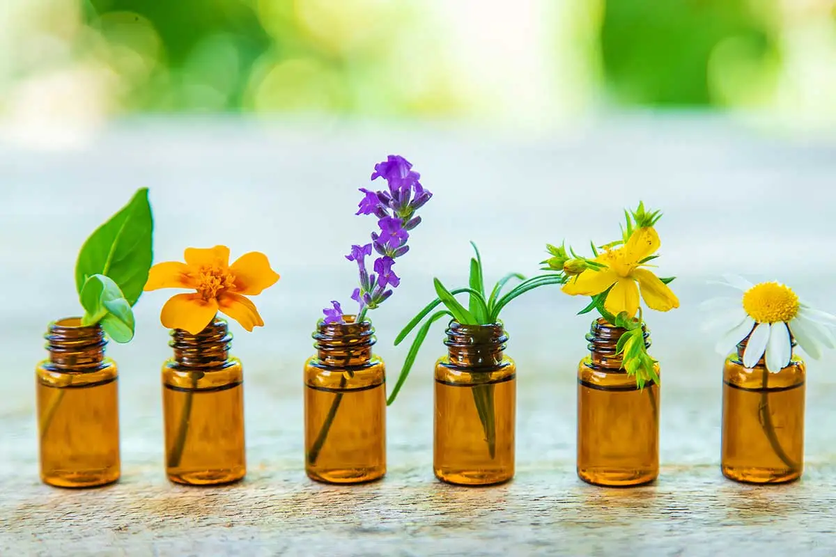 Maak kennis met de kracht van aromatherapie en transformeer je leven!